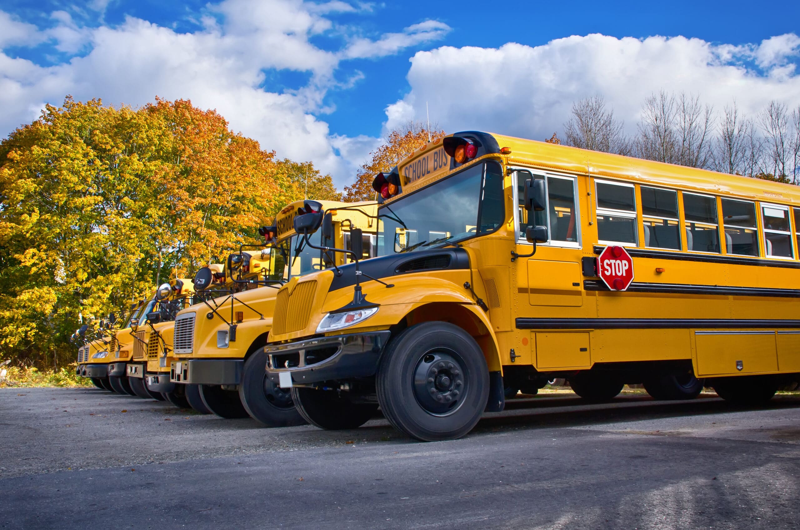 School buses lined up